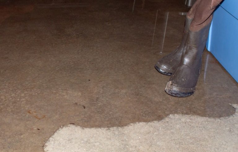 Is Water Restoration Worth It in Bartlett, IL