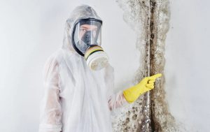 Mold Services