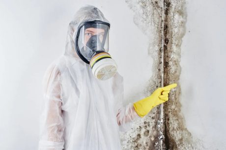 Why Fast Mold Removal Matters After Water Damage in Bartlett, IL