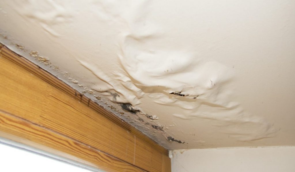 Water Damage Restoration Services