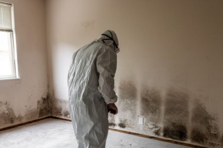 How Much Does Mold Remediation Cost in Bartlett,