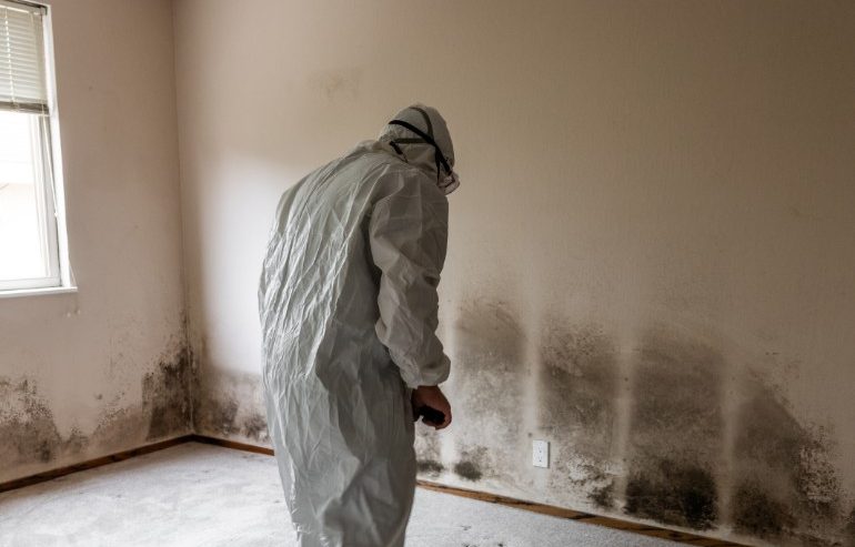 How Much Does Mold Remediation Cost in Bartlett,