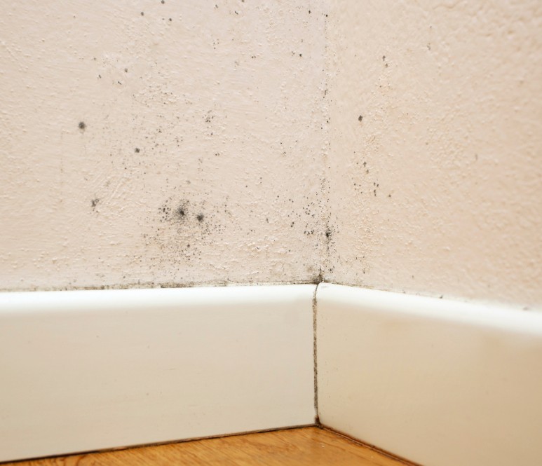 Typical Costs and What Affects Them