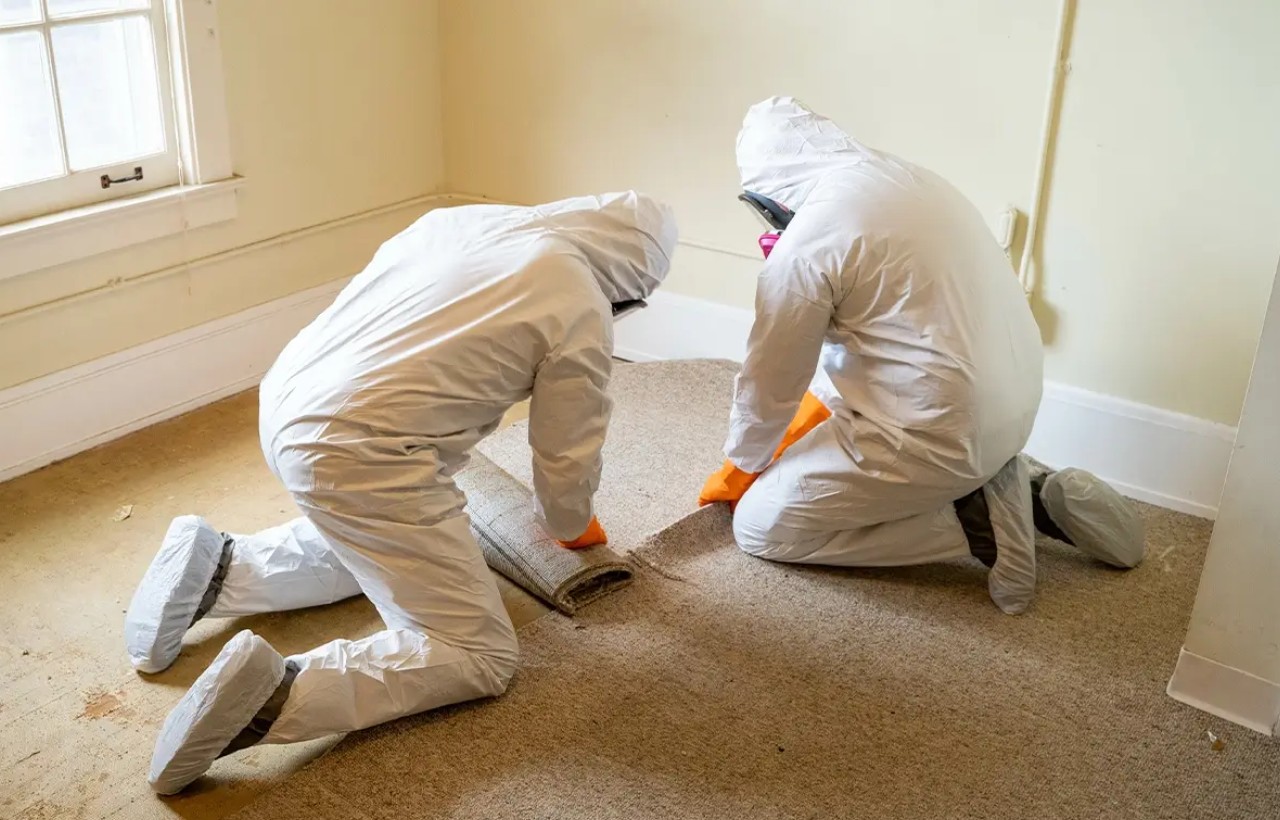 When Biohazard Situations Require Professional Cleanup in Bartlett, IL
