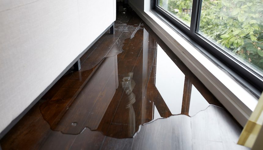 hard wood floor water damage