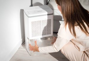 Using a dehumidifier