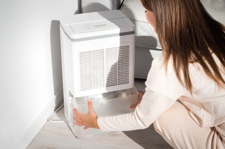 Using a dehumidifier