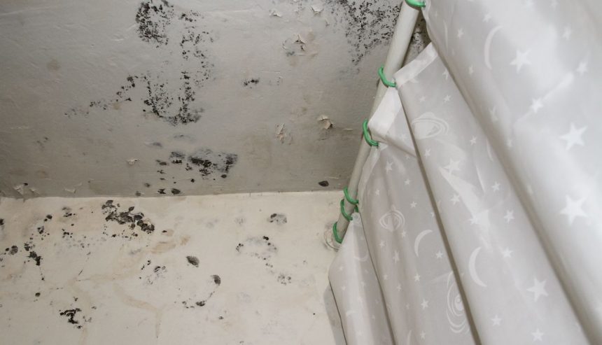 mold