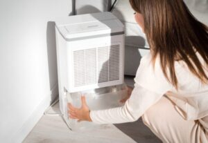 Dehumidifier