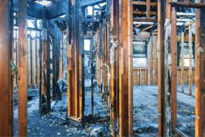 Fire Cleanup