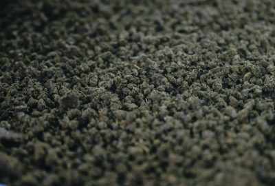 Wet Carpets After Pipe Bursts