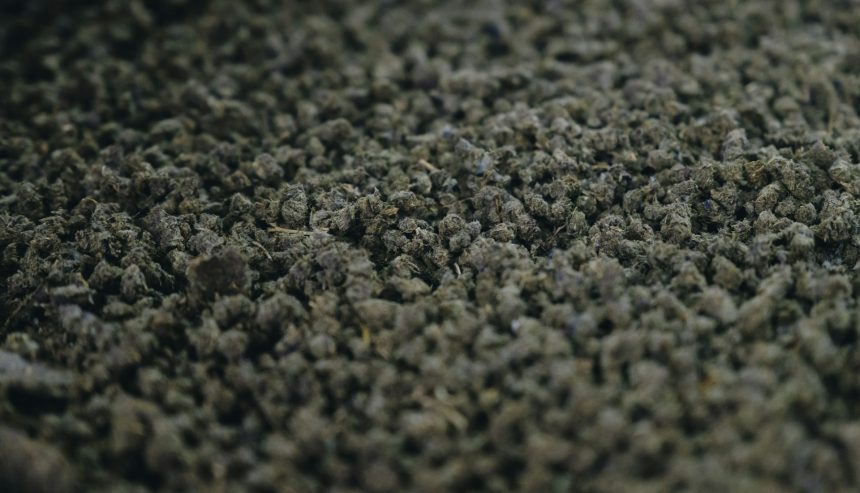 Wet Carpets After Pipe Bursts