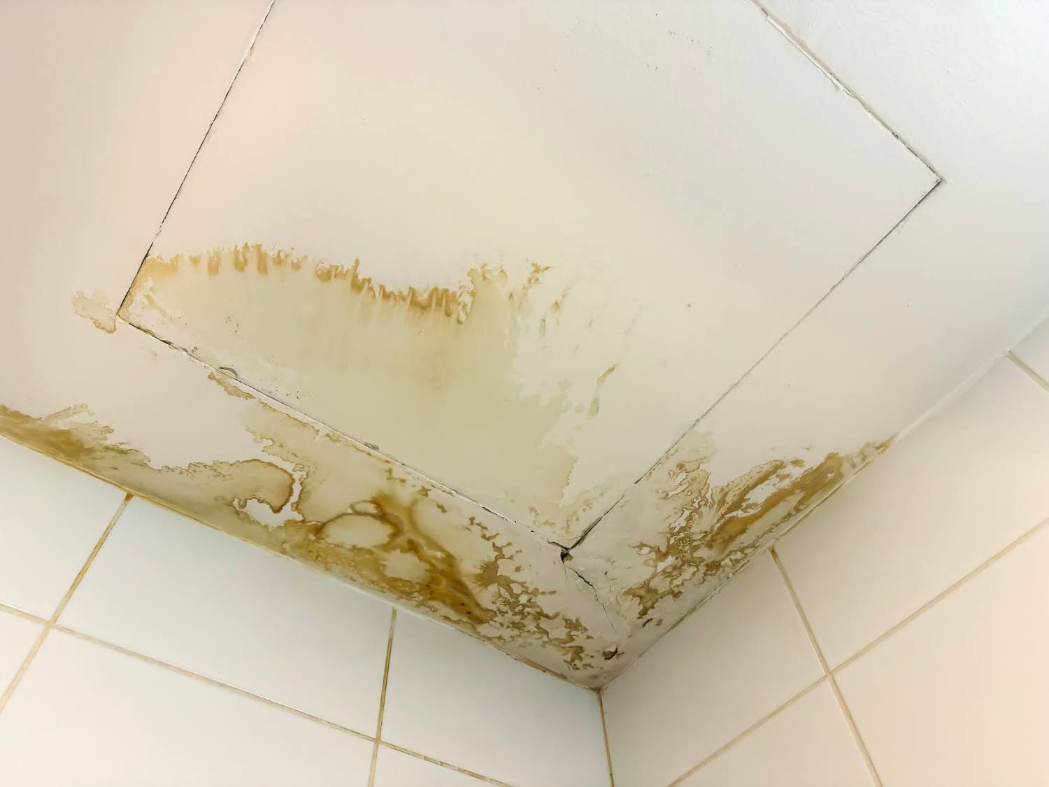 When Ceiling Water Damage Signals Bigger Problems in Michigan Homes