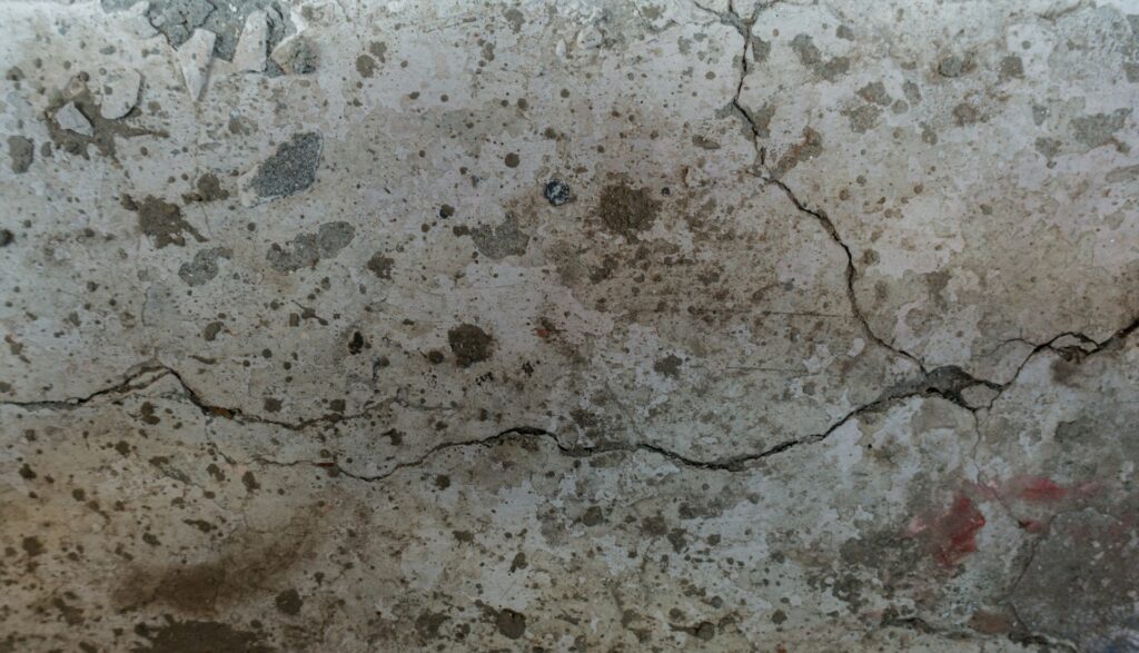 Mold Growth