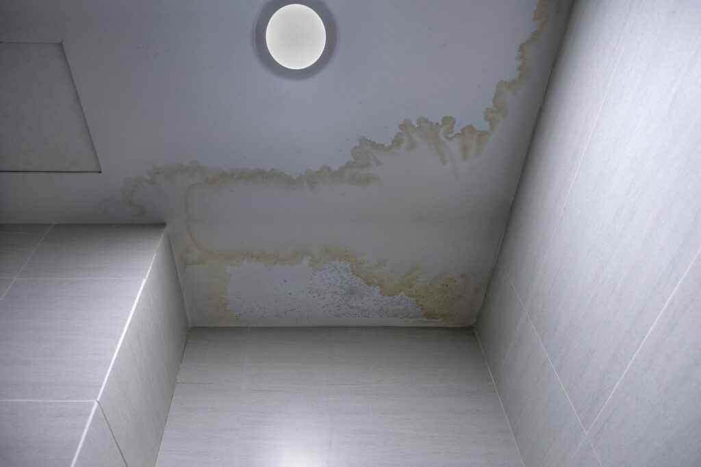 Mold Remediation