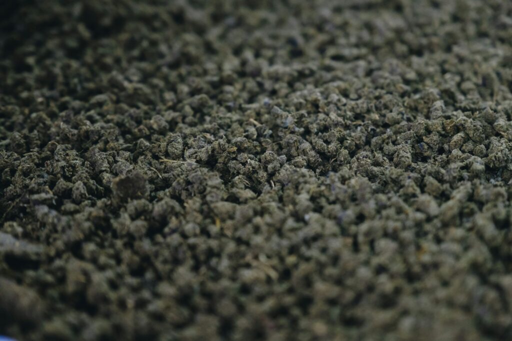 Wet Carpets After Pipe Bursts