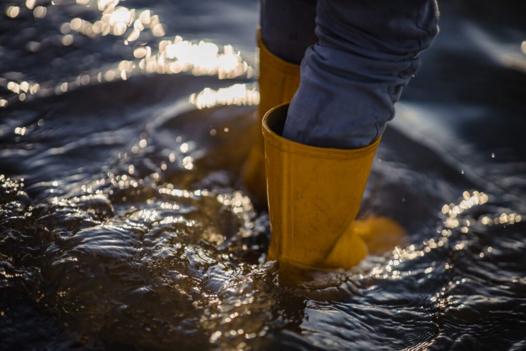 flood