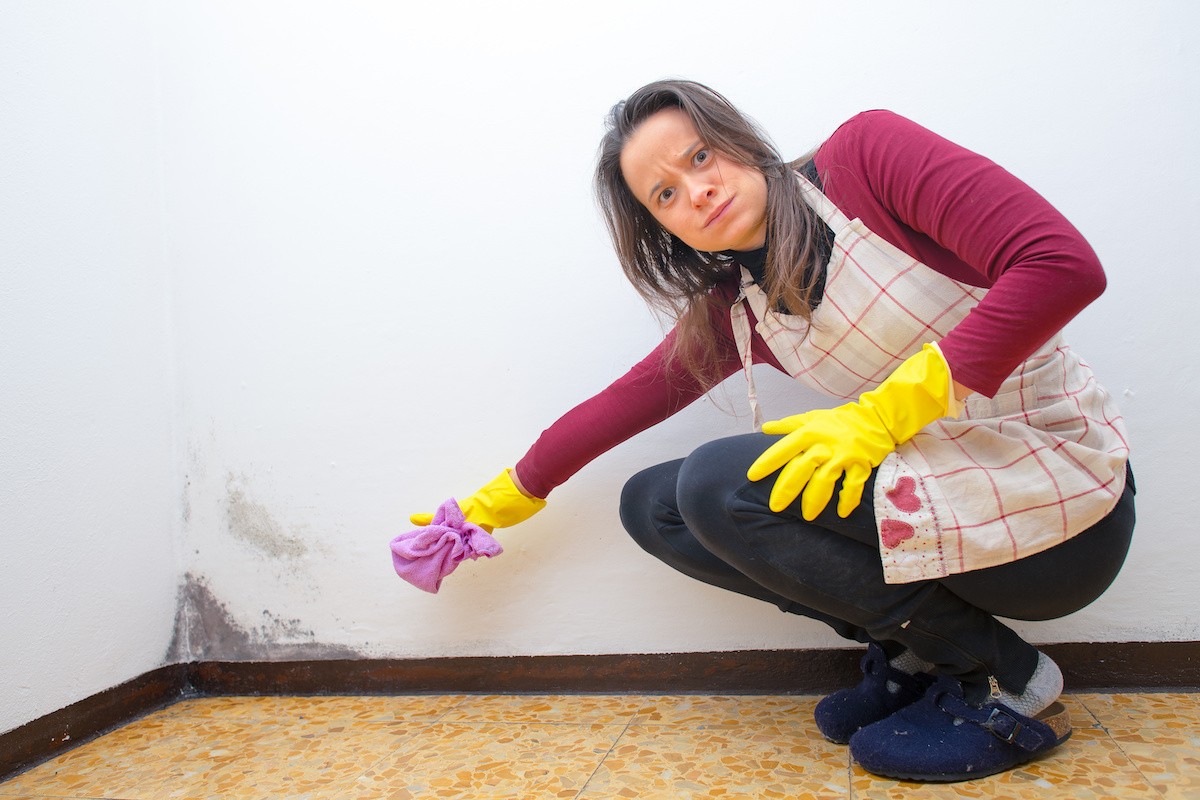 The Best Mold Prevention Tips from the Mold Removal Specialists