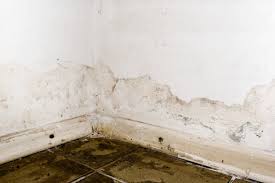 how to dry wet walls