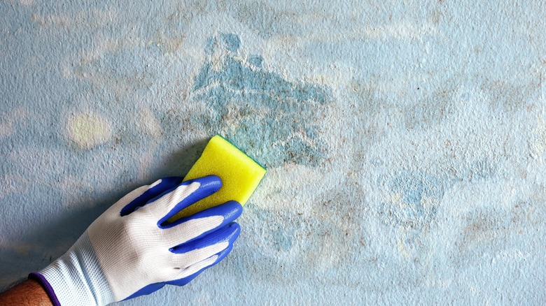 wet drywall