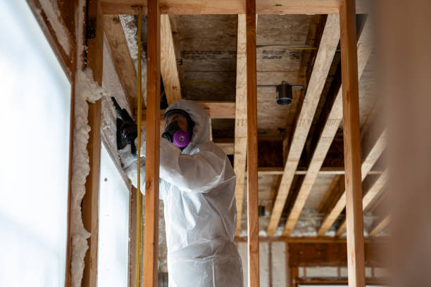 Crawl Space Mold Removal