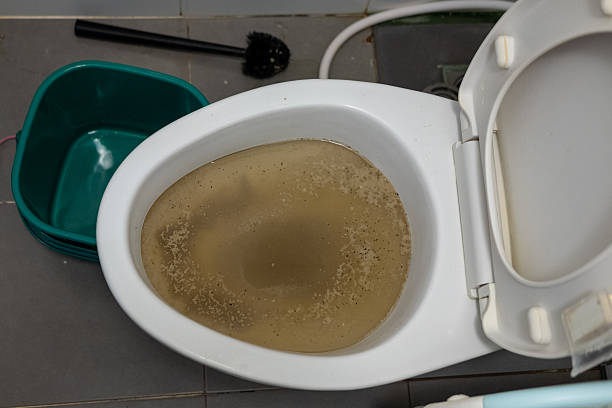 sewage backup repair