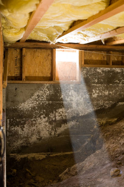 crawl space mold removal company in Bloomington