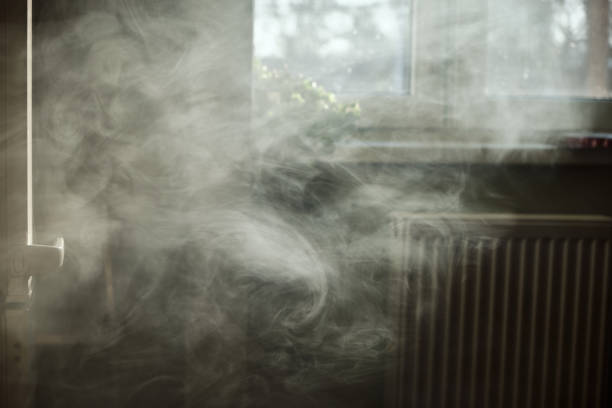 Professional Smoke Removal Services