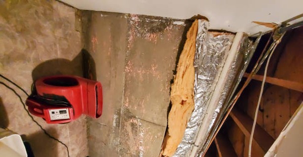 local crawl space mold removal in bloomington