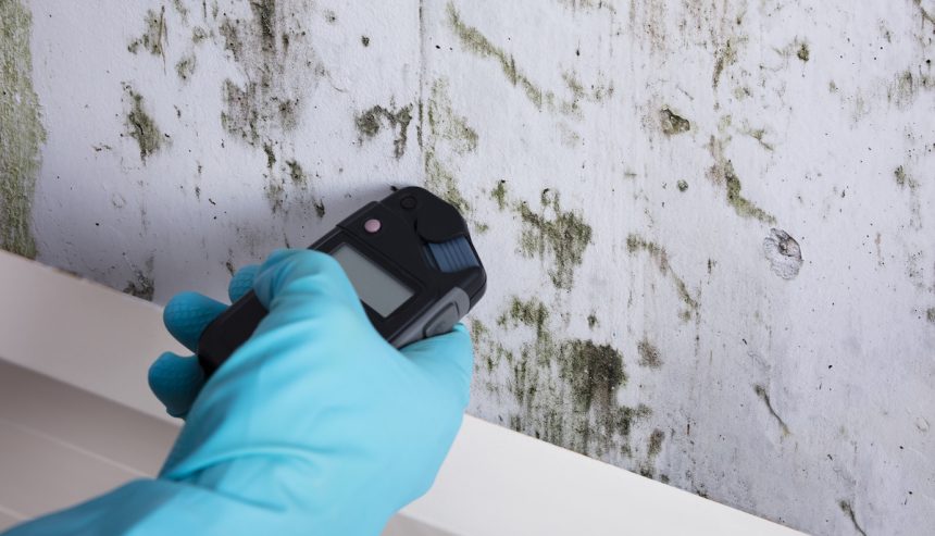 mold remediation in Bloomington
