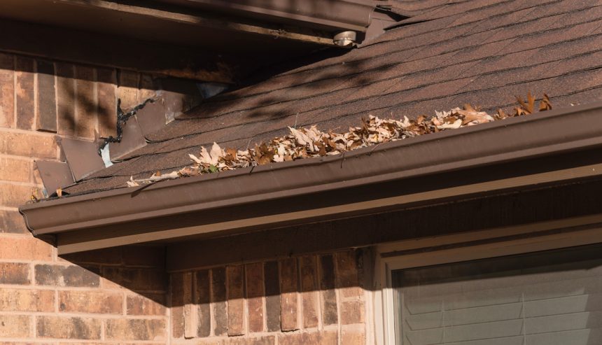 home maintenance