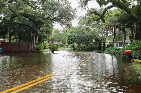 Storm Damage Restoration in Normal