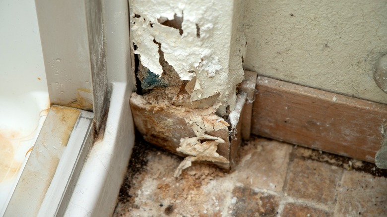 DIY Repair of Water-Damaged Drywall in Bloomington Homes