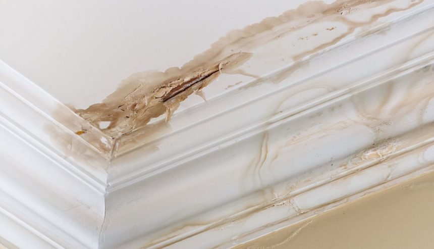 water damage to the ceiling on crown molding