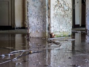 basement water damage