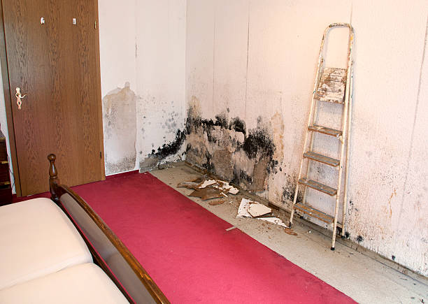 water damaged drywall