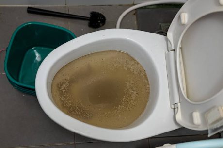 sewage backup repair