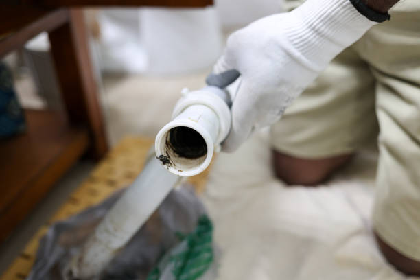 Sewage Backup Cleanup in Bloomington