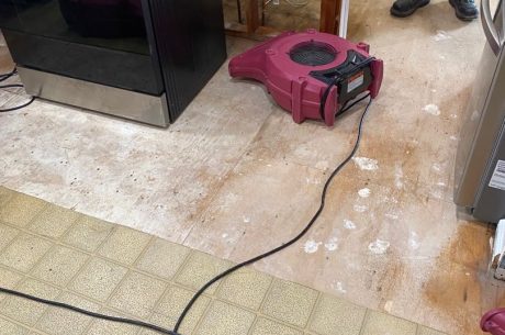 Water Damage Restoration in Fox Creek Road