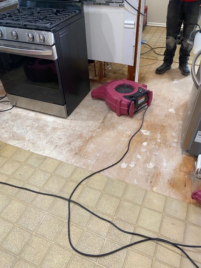 Water Damage Restoration in Fox Creek Road