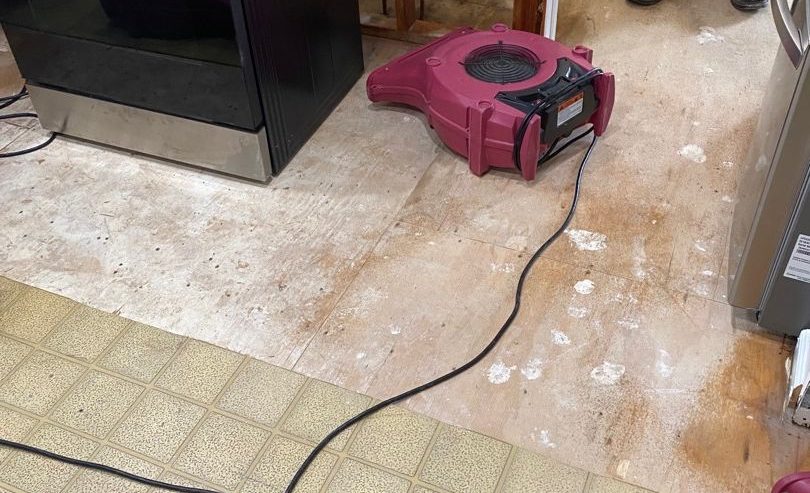 Water Damage Restoration in Fox Creek Road