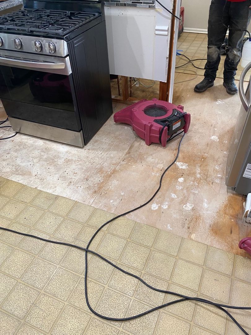 Water Damage Restoration in Fox Creek Road: 7 Critical Steps for Fast Recovery