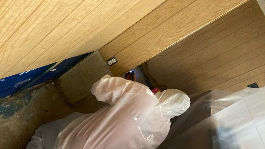 Professional Water Damage Restoration in Heyworth: 7 Essential Steps Every Homeowner Should Know