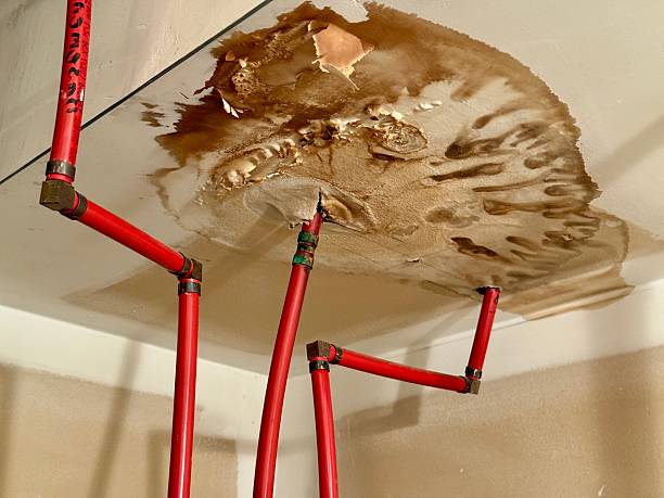 water damage restoration near bloomington