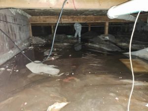 local crawl space mold removal