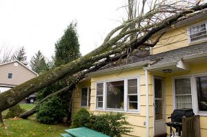 storm damage restoration in Twin Grove