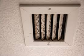 mold in ac ducts