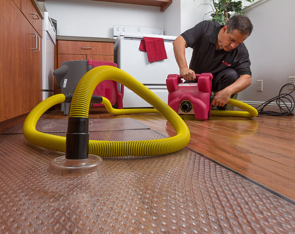 professional water restoration services in Bloomington