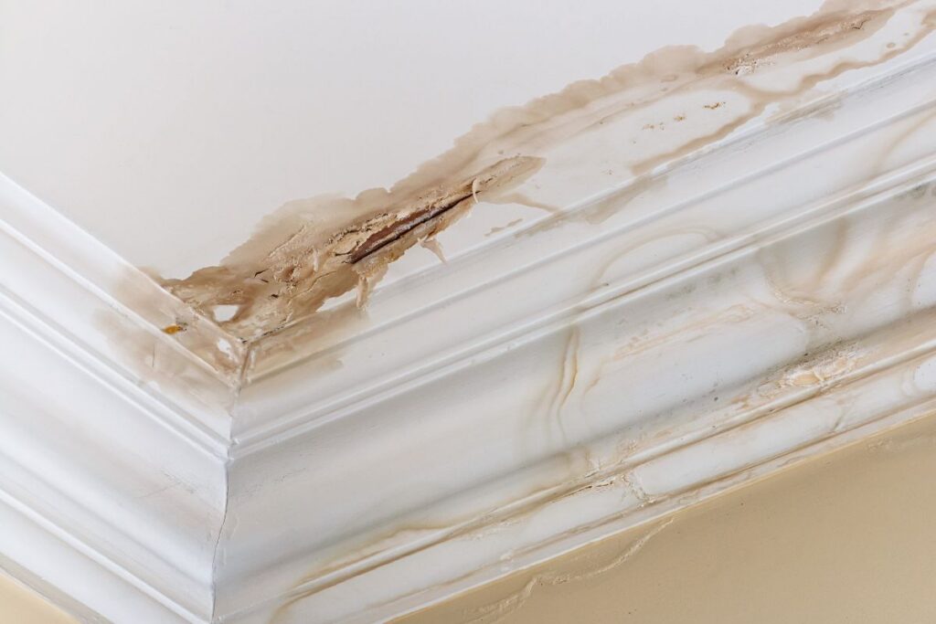 water damage to the ceiling on crown molding