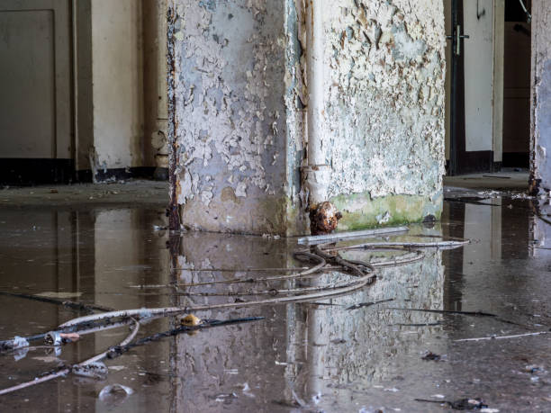 basement water damage